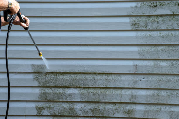 Best Engineered Wood Siding  in Eufaula, AL