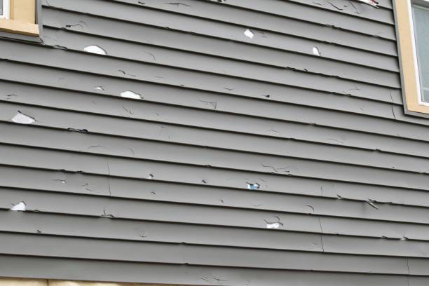 Best Residential Vinyl Siding Installation  in Eufaula, AL